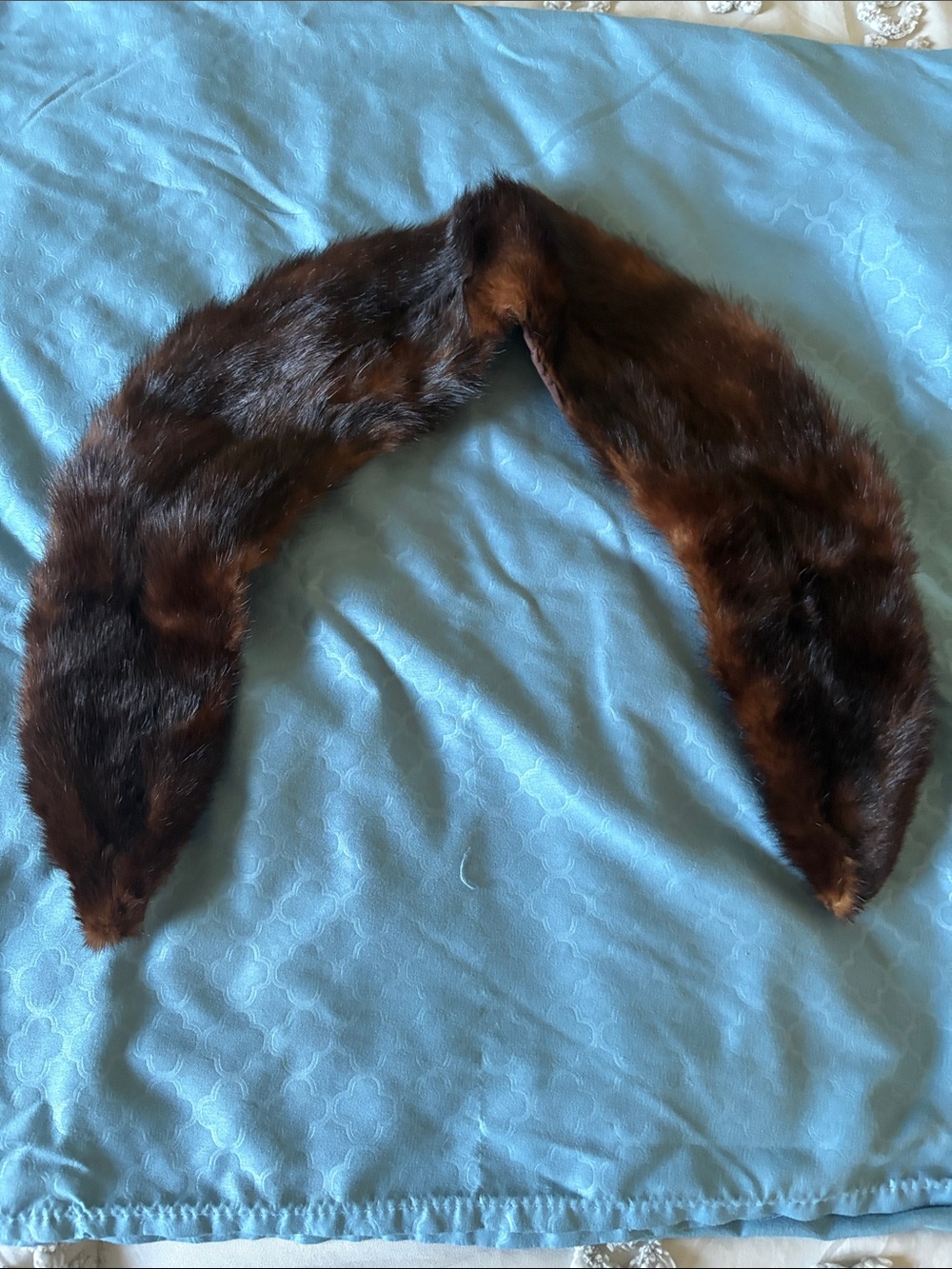 Vintage Dark Brown Mink Fur Collar Scarf - Women’s Accessories